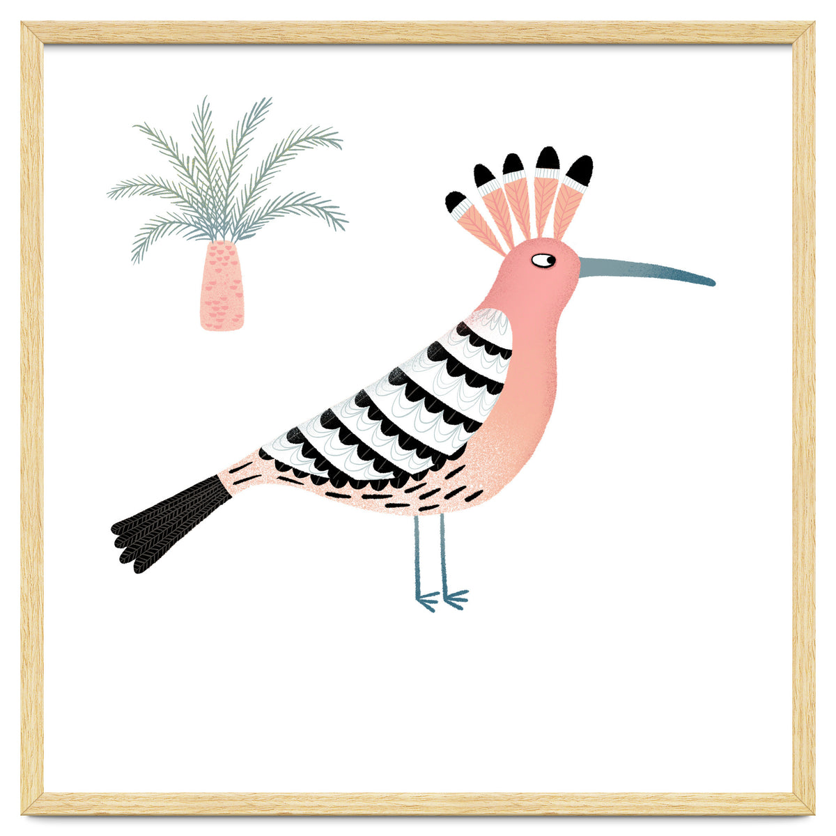 Hoopoe