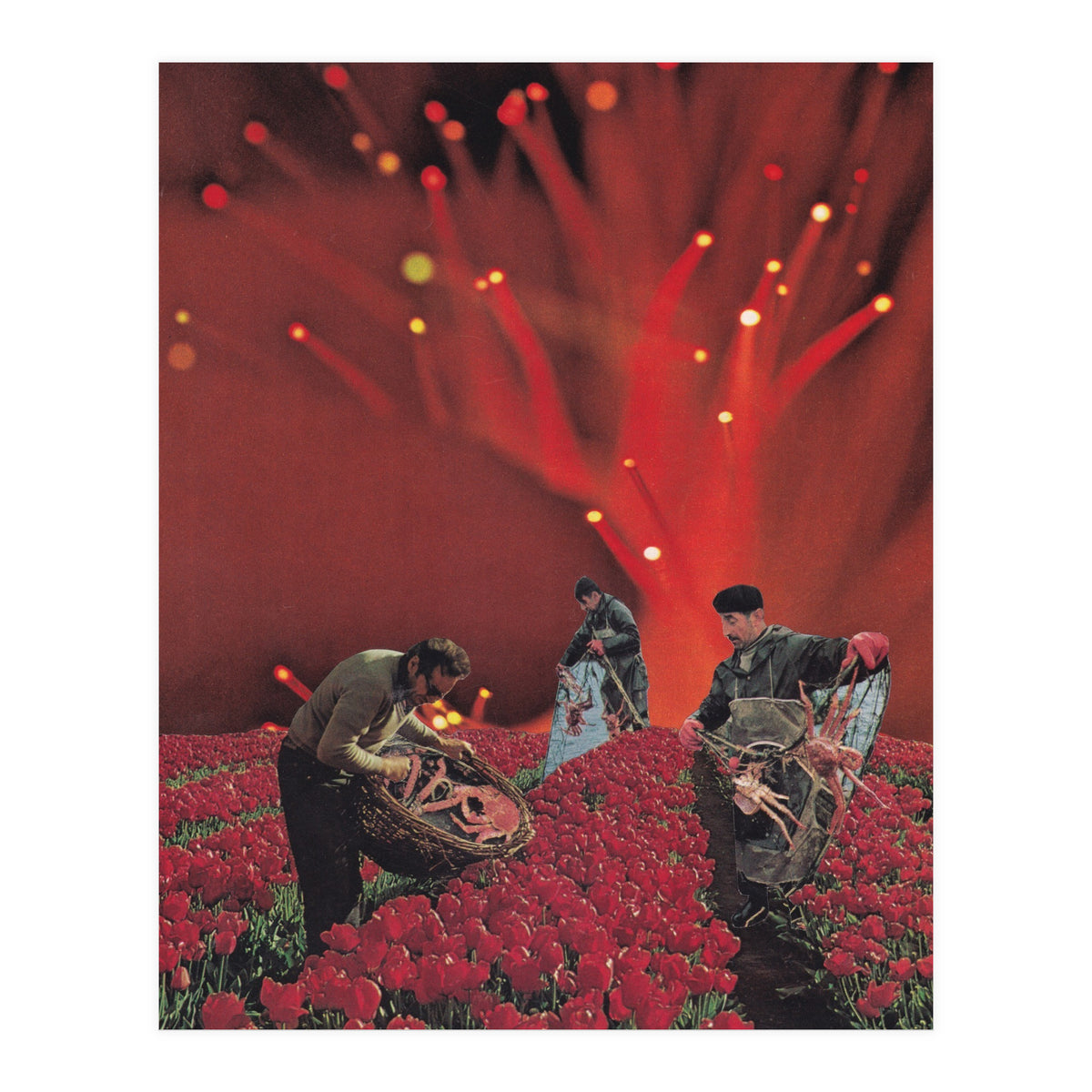 Red King Crab (Print Only)