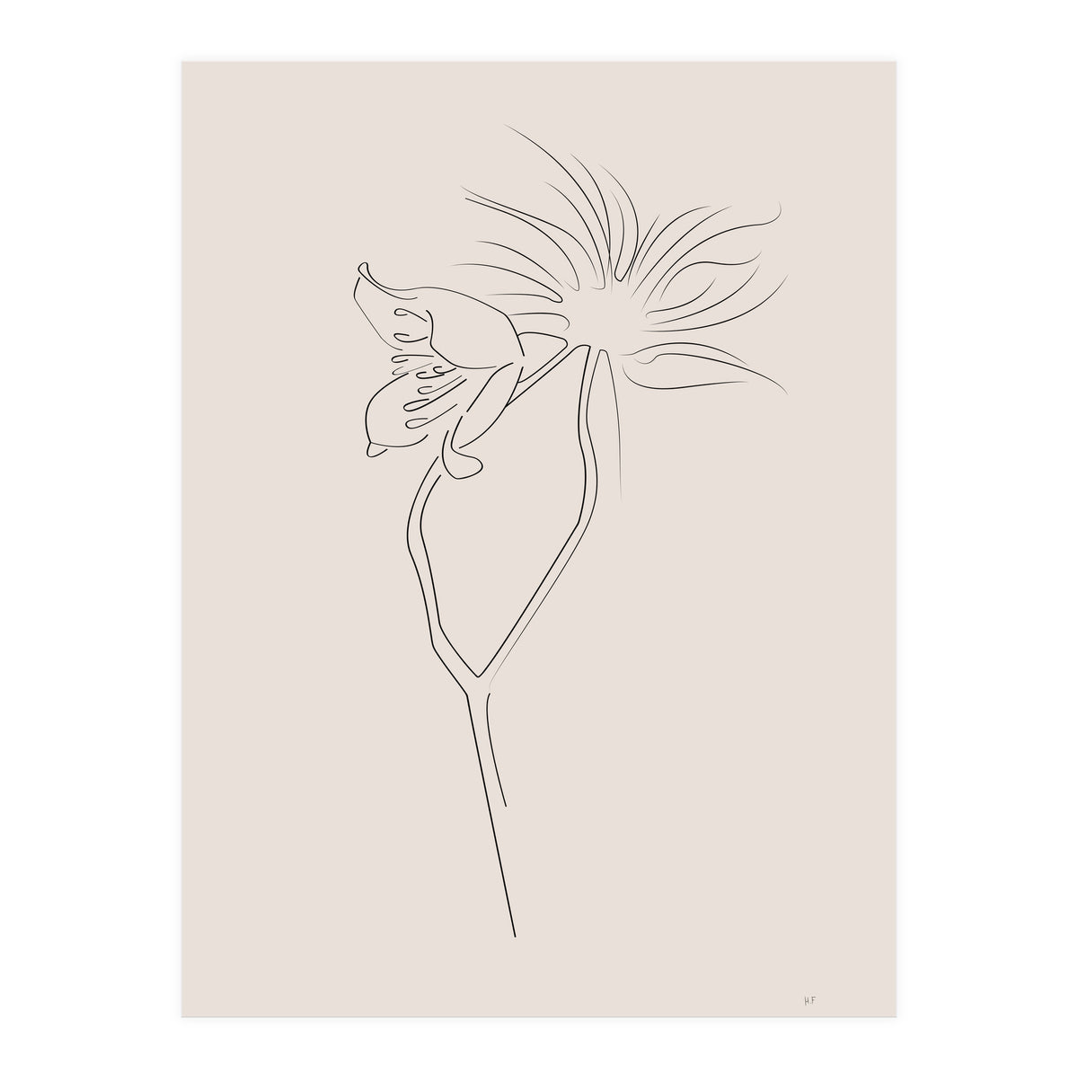 Flower 01 (Print Only)