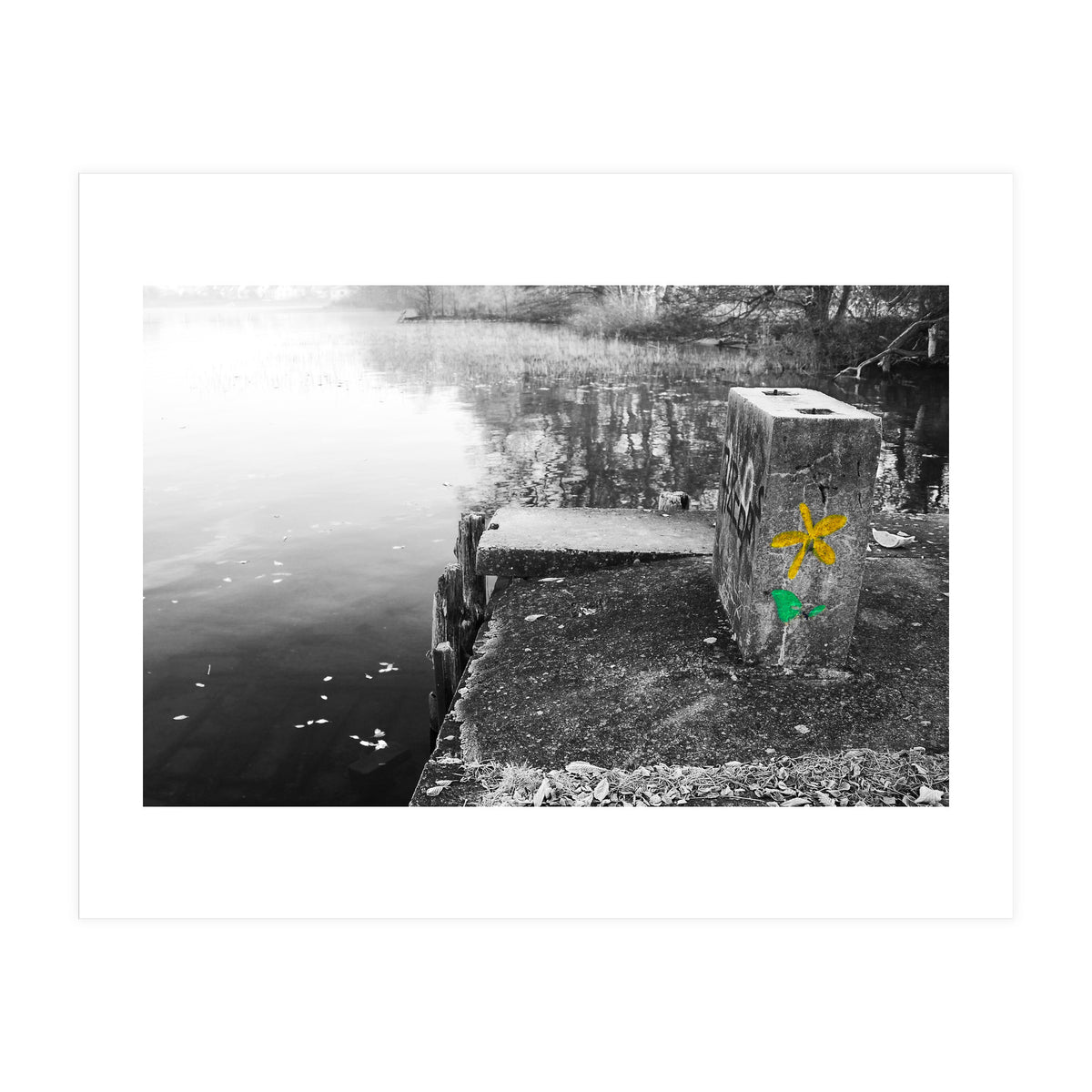 Frozen Ground Yellow Flower Street Art (Print Only)