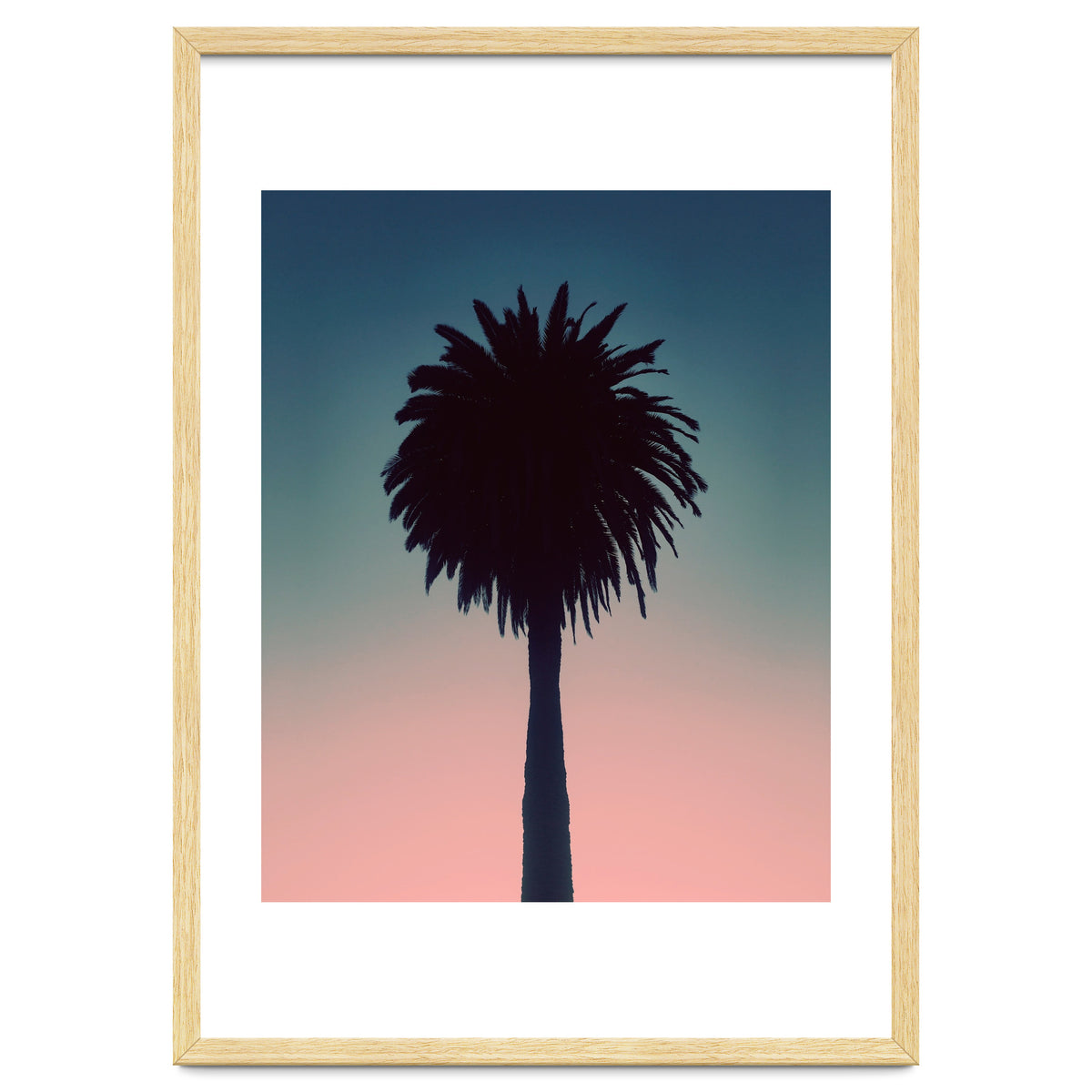 Sundown Palm