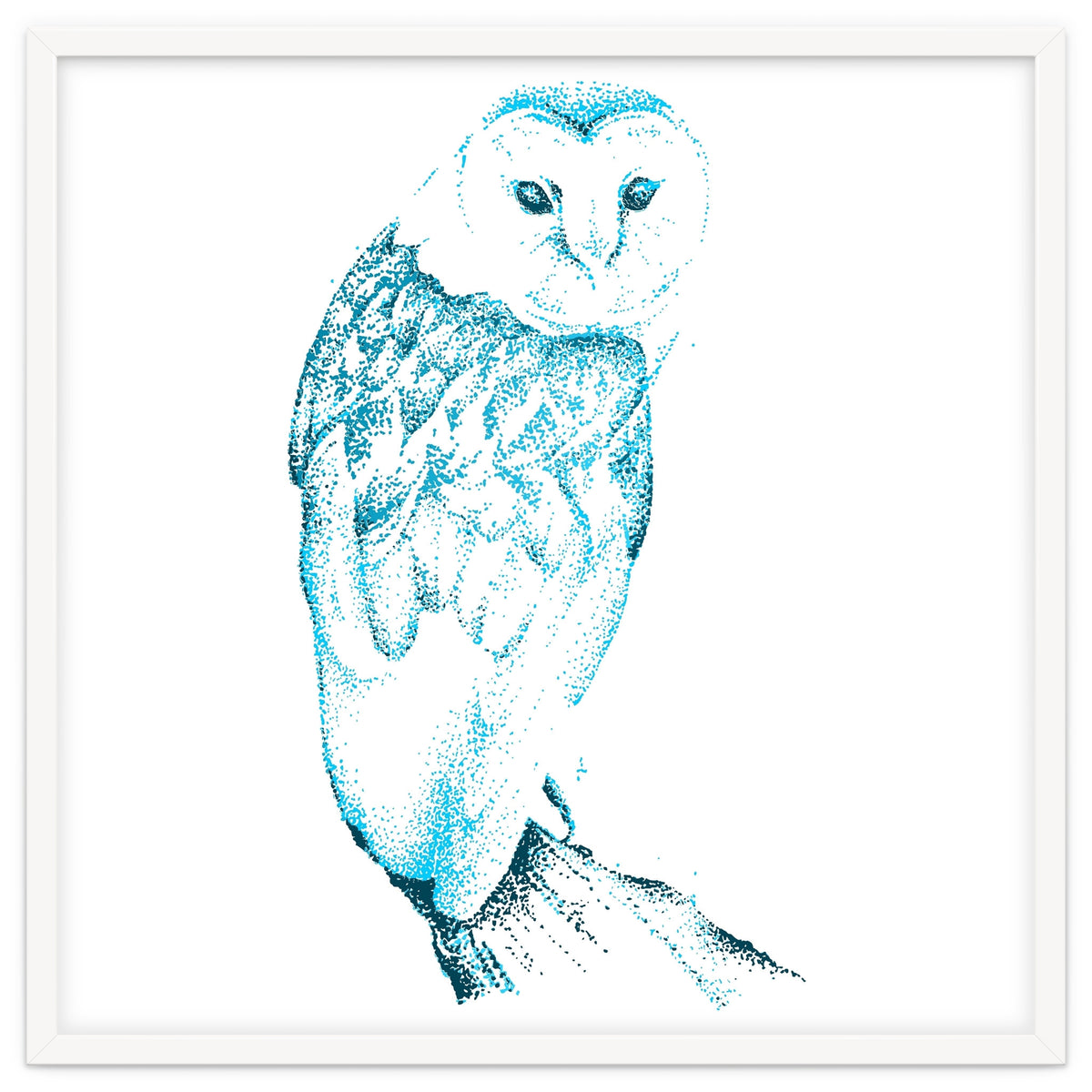 Barn Owl in Teal