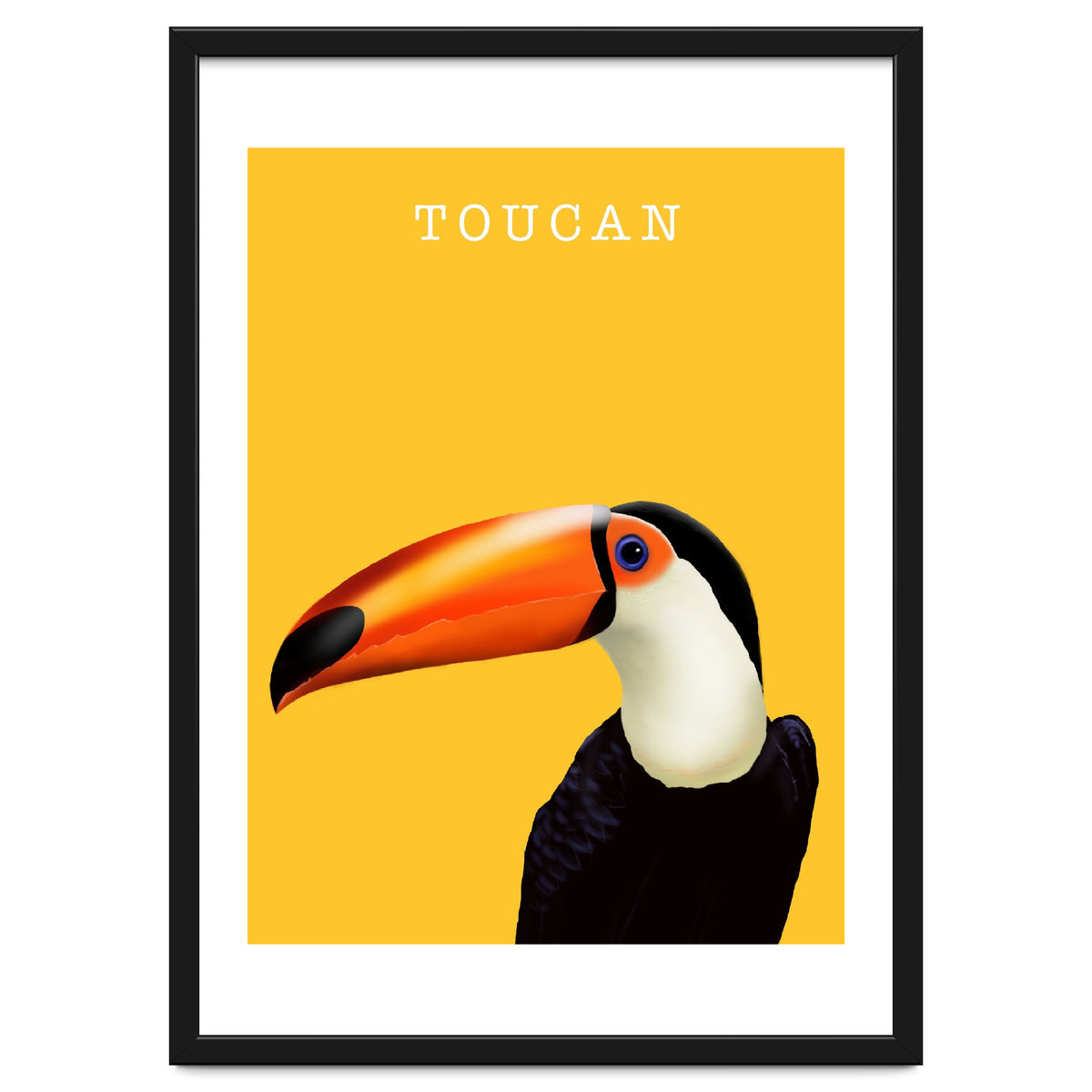 Toucan