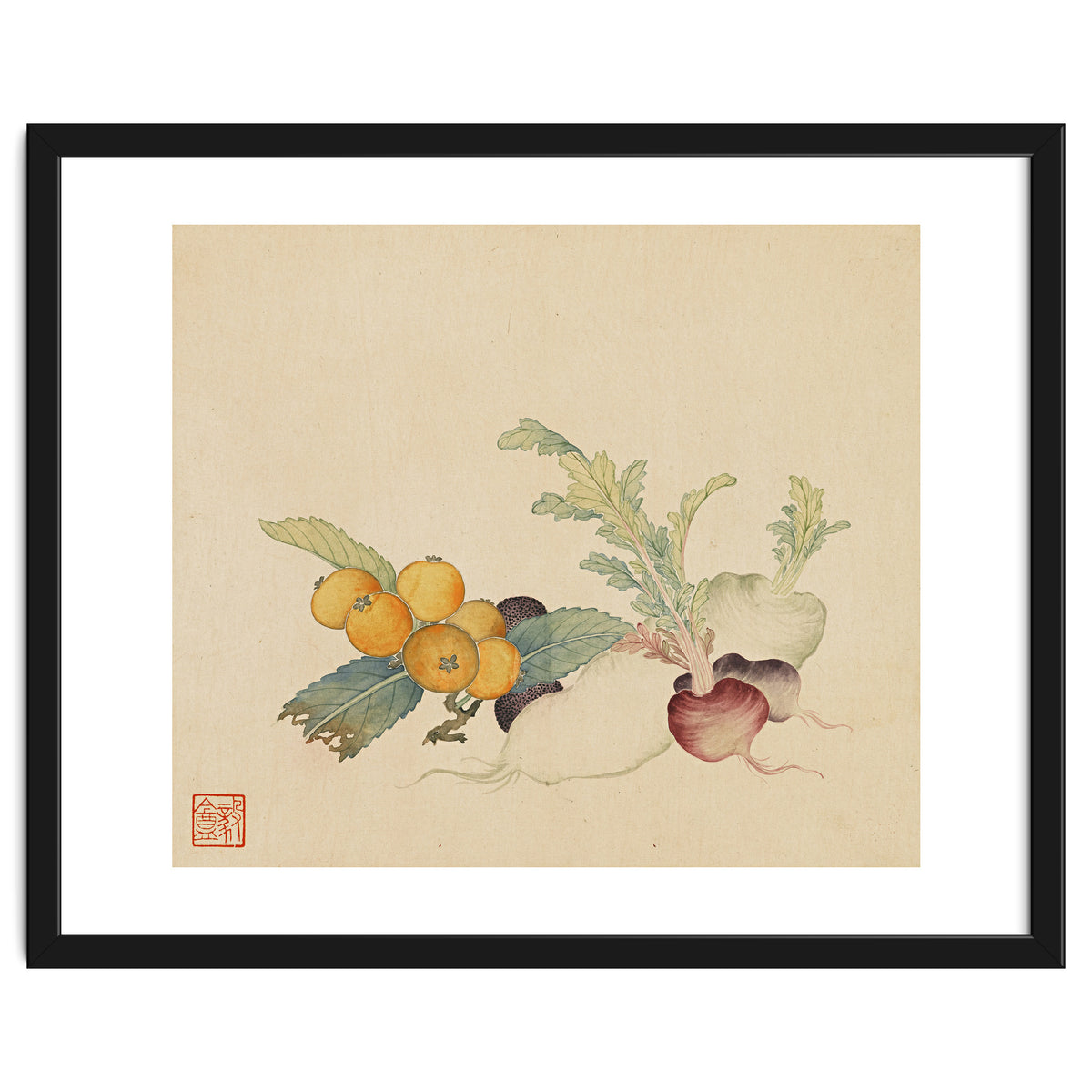 Wang Chengpi~flowers And Vegetables, Vegetables, Fruits, Loquat, White Radish, Carrot, Radish