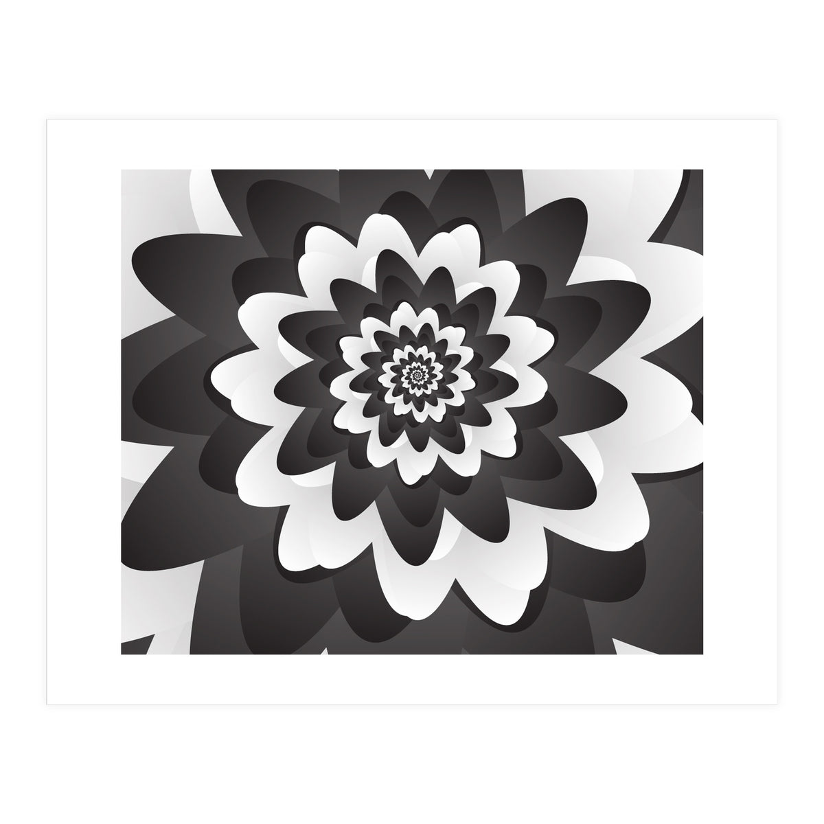 Mono Chrome Flower Spiral Pattern (Print Only)