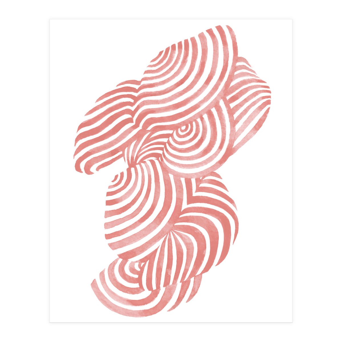 Seashells (Print Only)