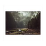 Foggy Forest Creek (Print Only) thumbnail