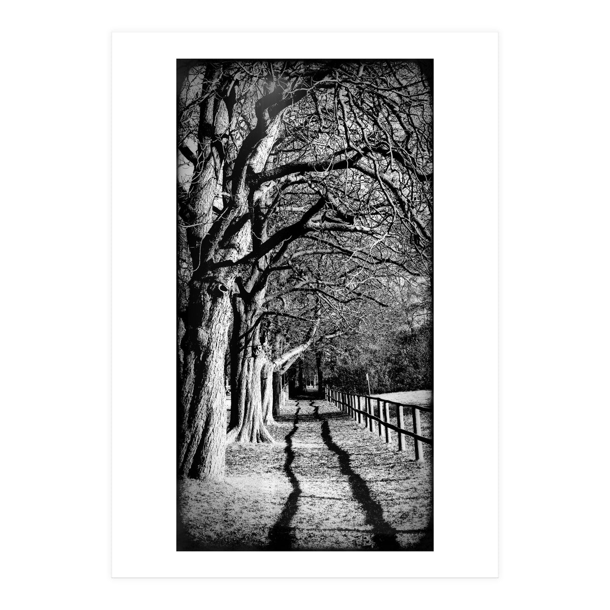 Light and shadows (Print Only)