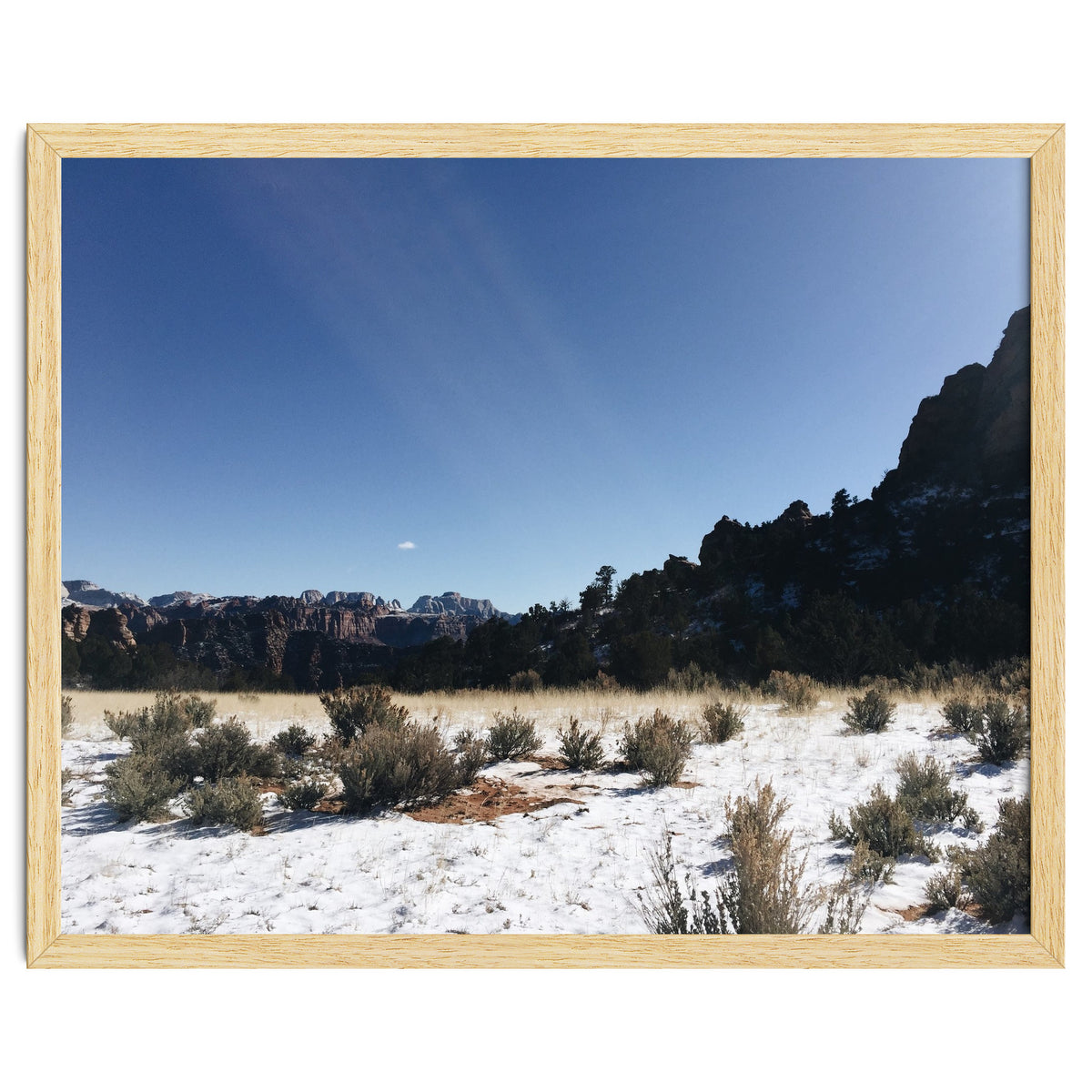 Zion National Park II