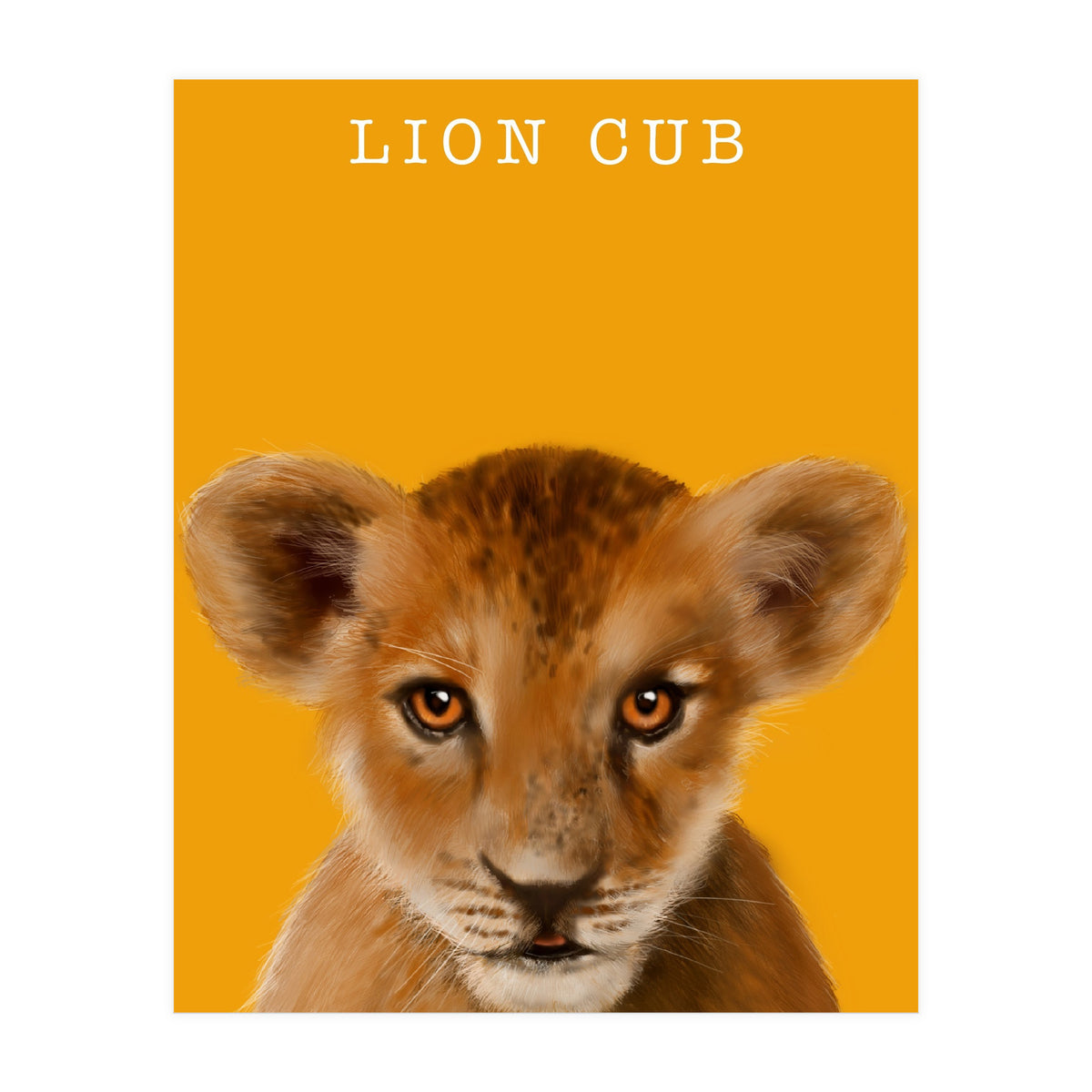 Lion Cub (Print Only)