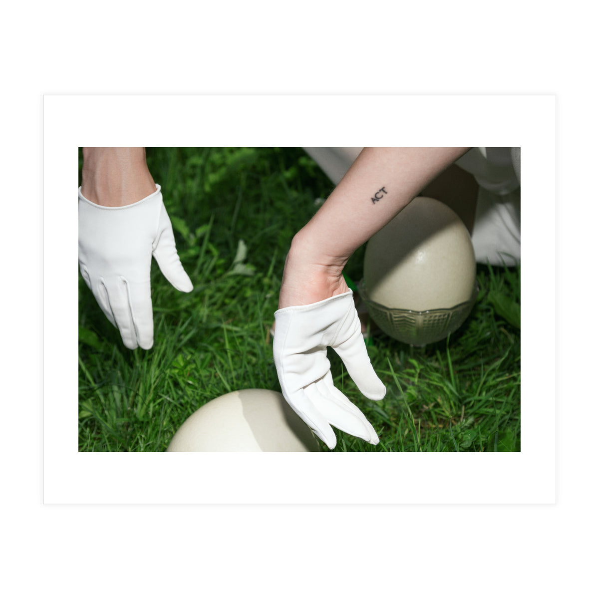 Dinosaur Inside (Print Only)