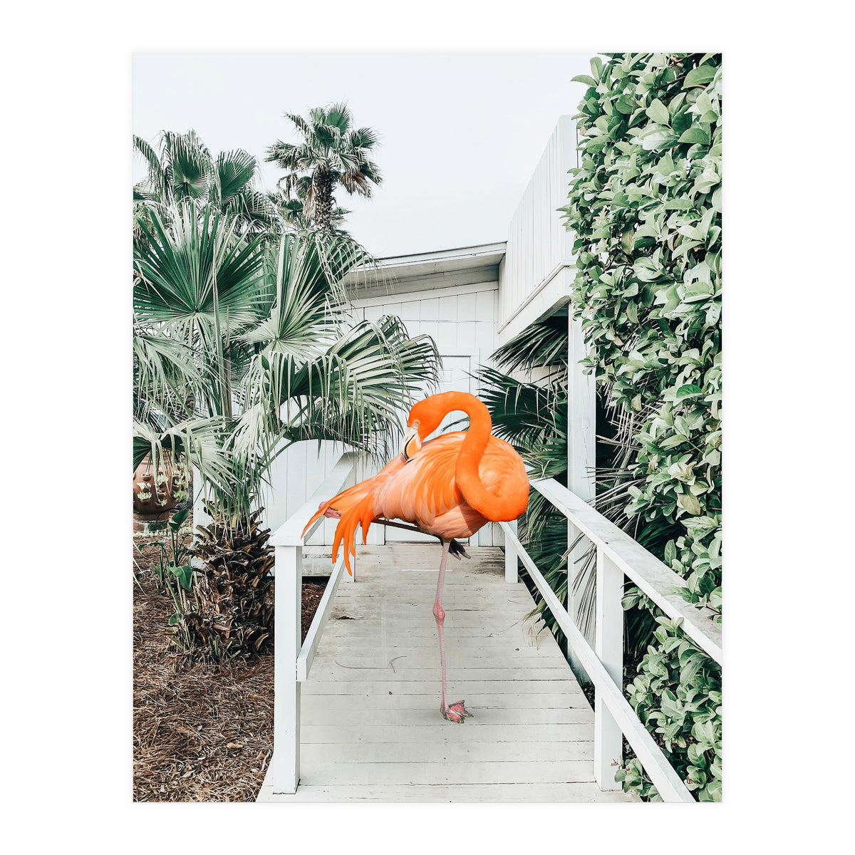 Flamingo Beach House (Print Only)