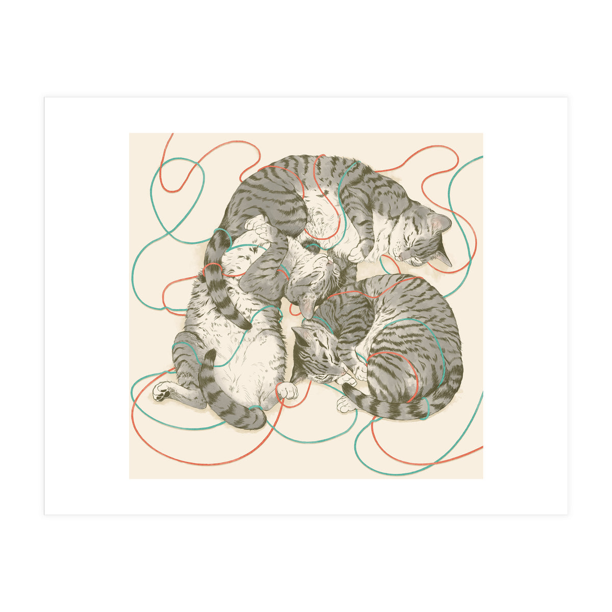 Cats (Print Only)
