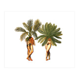 The Palms (Print Only) thumbnail