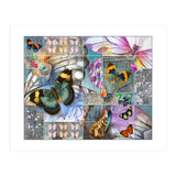 Butterfly Wings Collage (Print Only) thumbnail