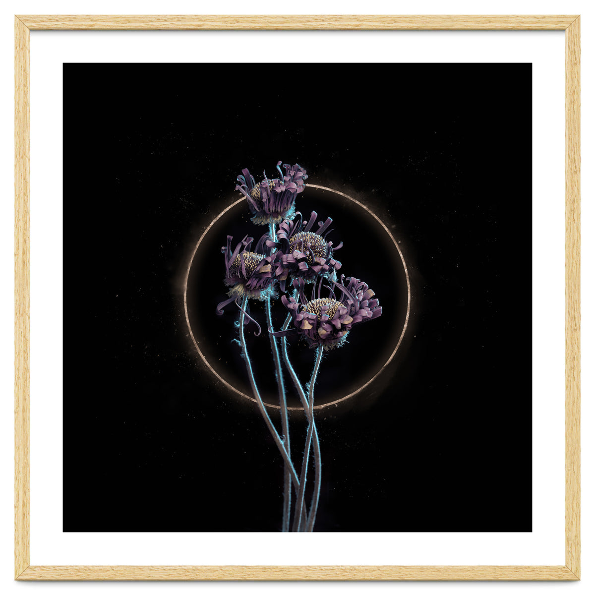 Candy-Coloured Mystery