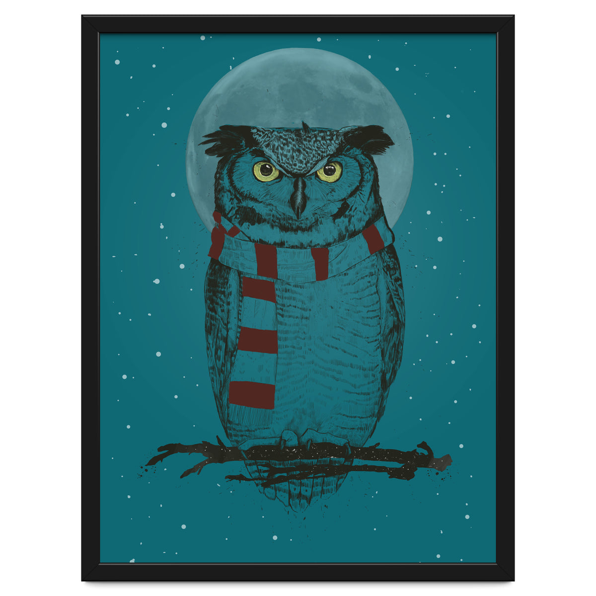 Winter Owl II