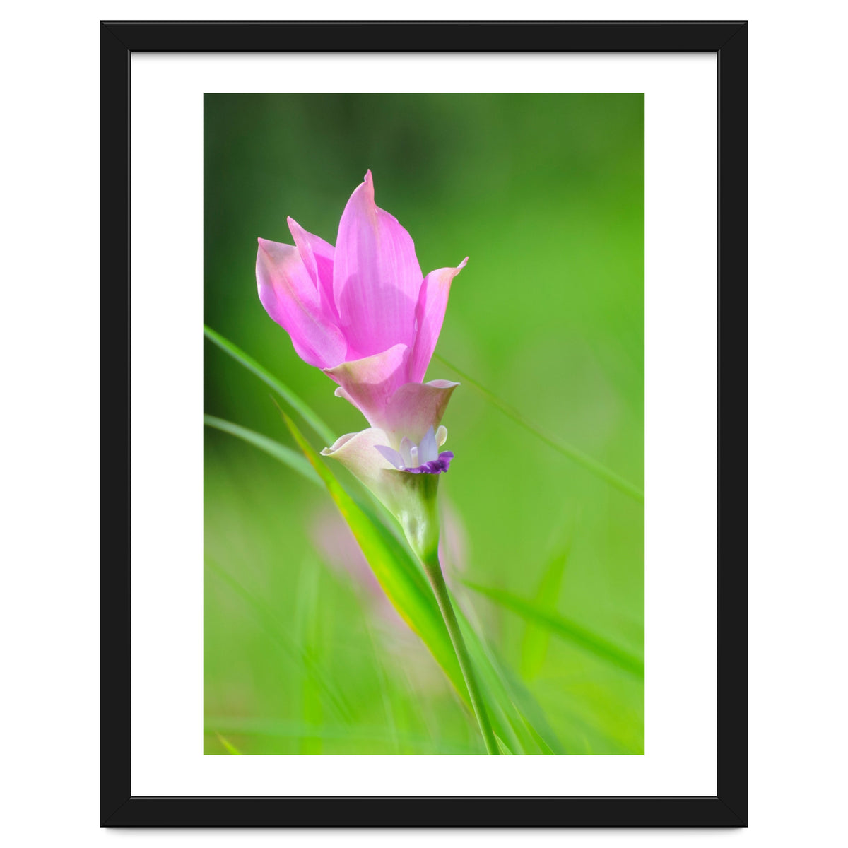 Nature 4000x6000 (12)