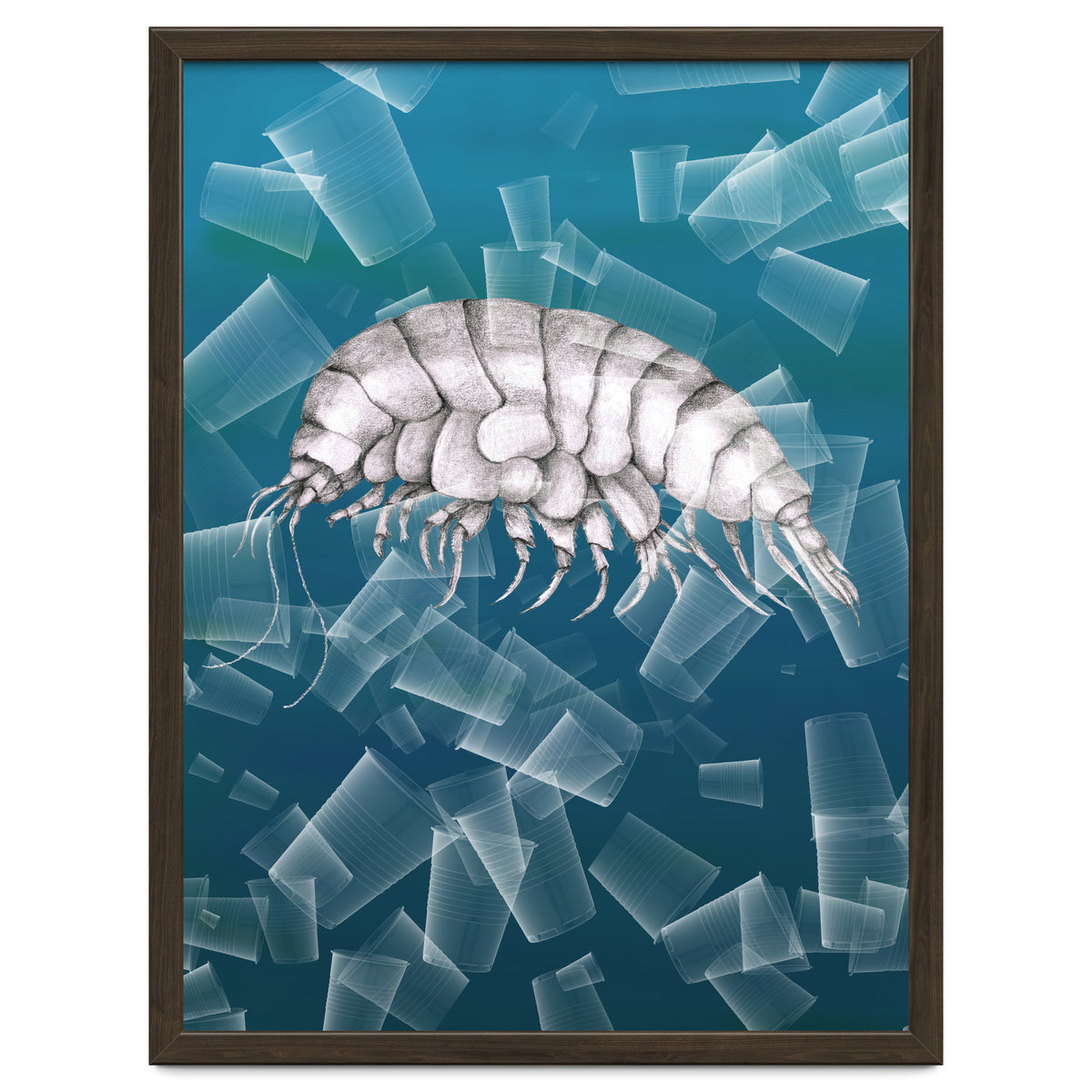 Eurythenes Plasticus