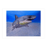 Formidable Beauty (Print Only) thumbnail