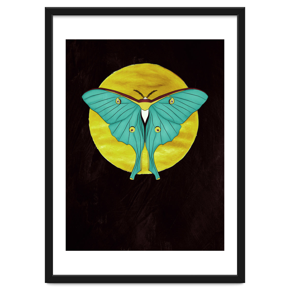 Luna Moth Moon