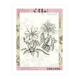 Cactus (Print Only) thumbnail