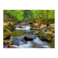 Spring At Harz Moutain (Print Only)