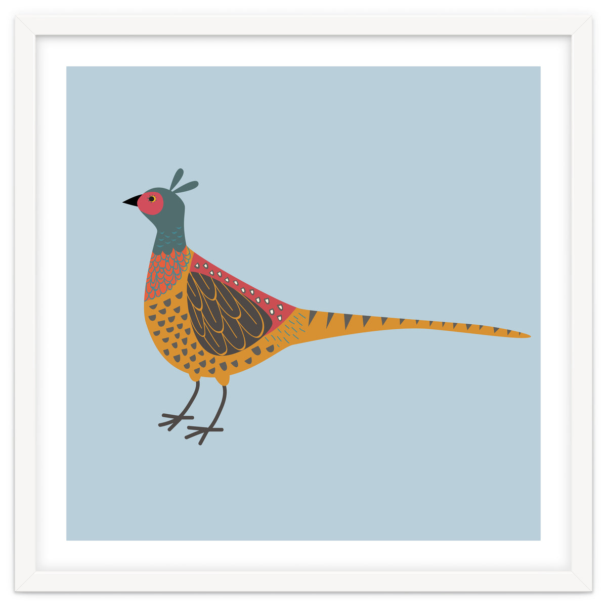 Pheasant