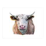 Cow No.1 (Print Only) thumbnail