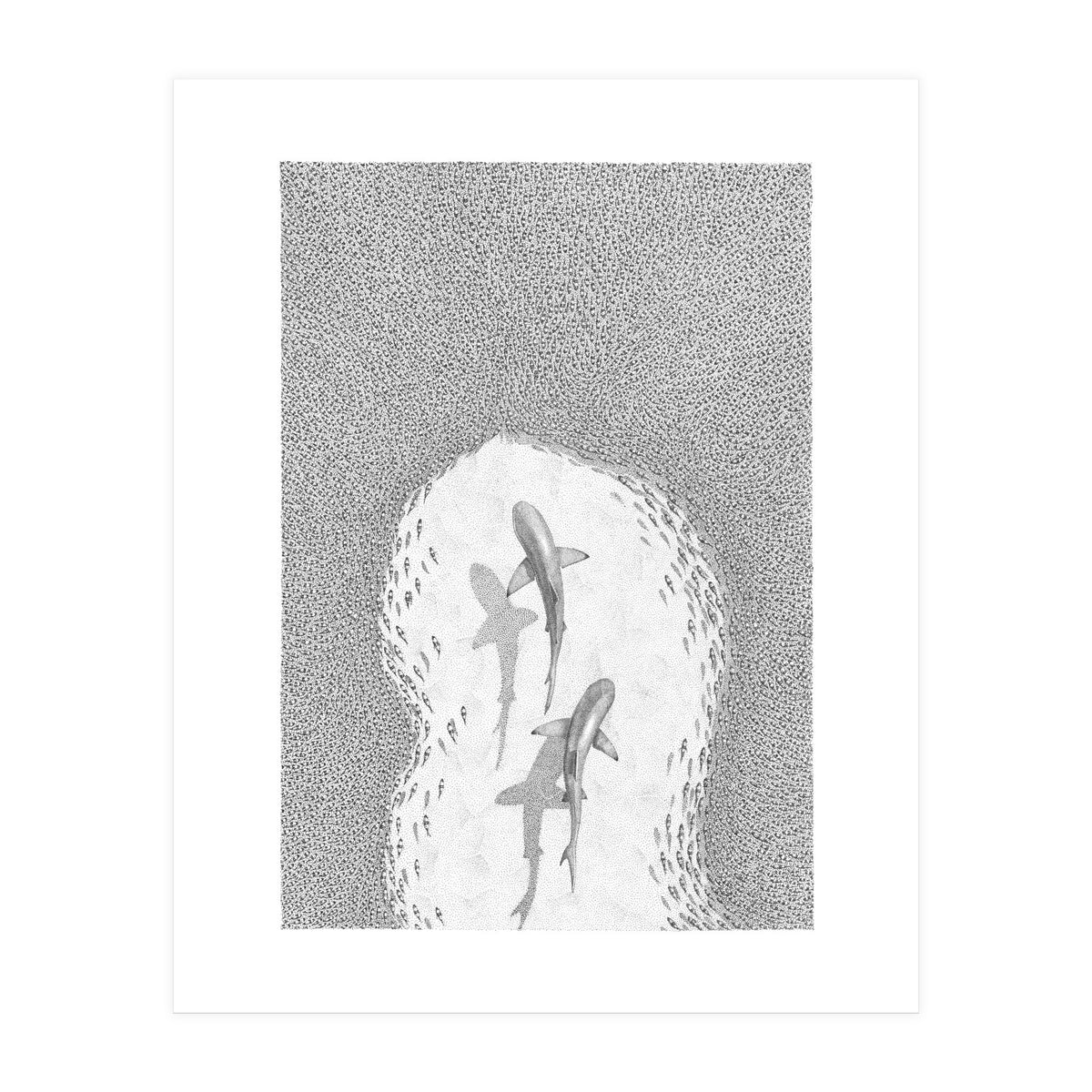 Strength in numbers (Print Only)