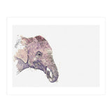Eli (Print Only) thumbnail