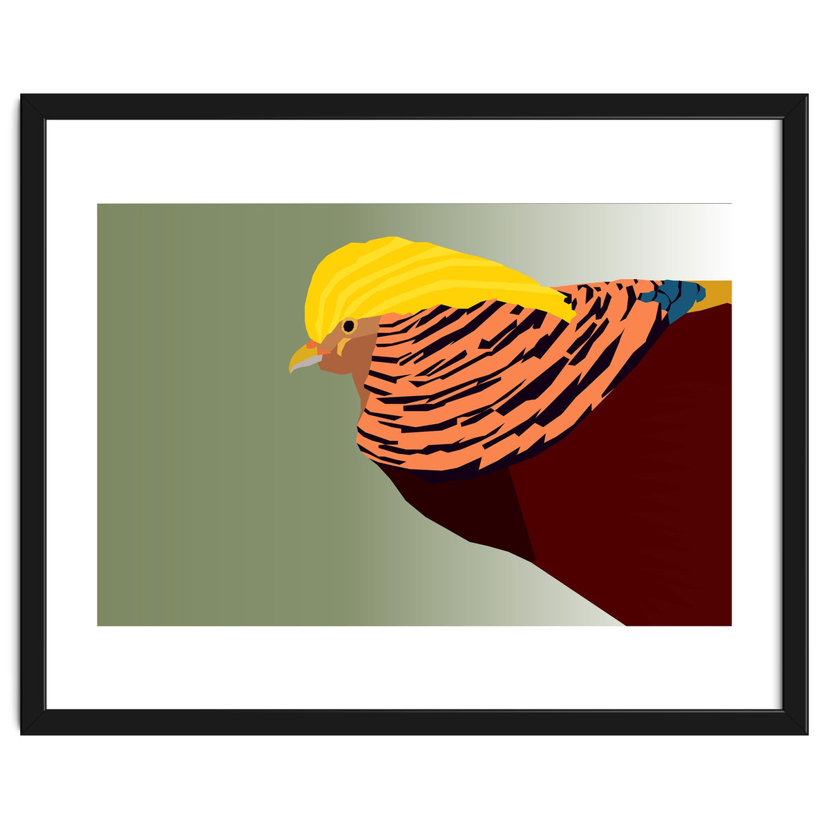 Golden Pheasant Bird Art