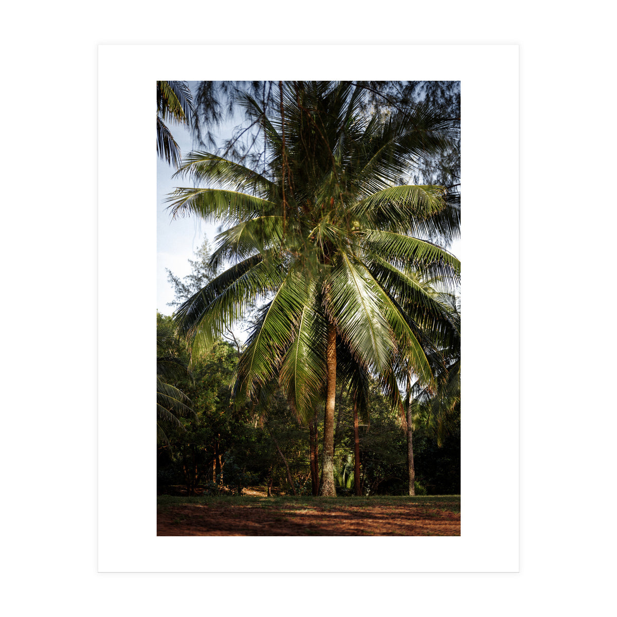 Vacation Postcard (Print Only)