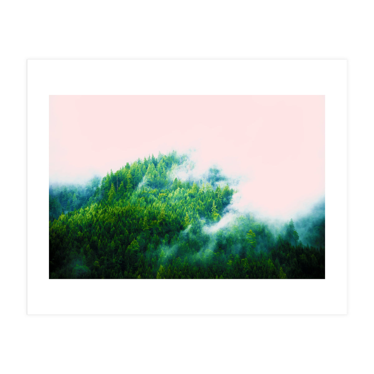 Into The Fog (Print Only)