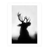 roar (Print Only) thumbnail