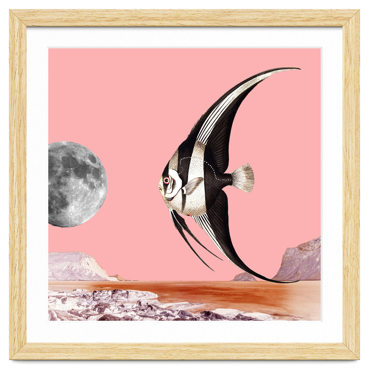 Plenty Of Fish In The Sea Pink