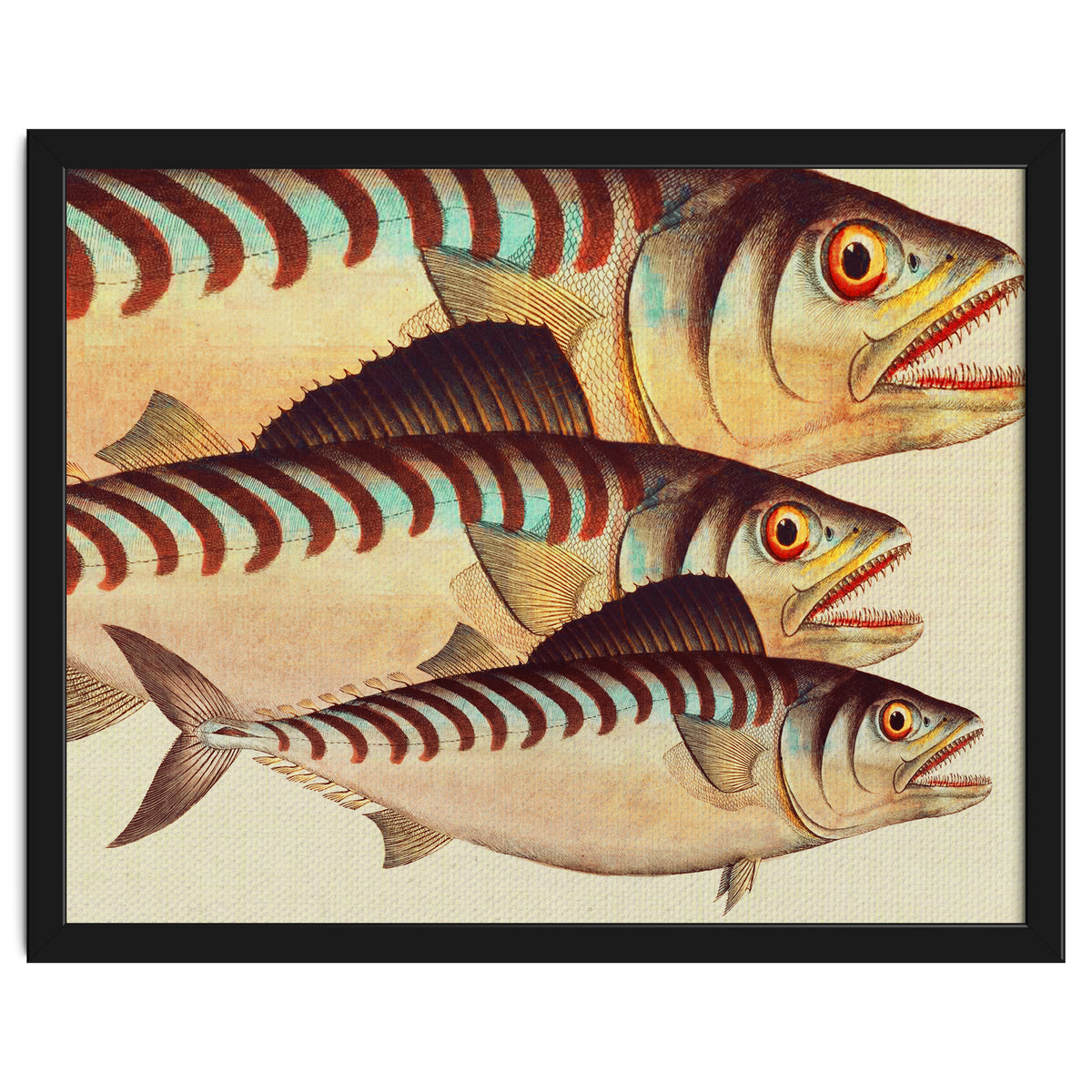 Fish Classic Designs 8