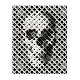 Wicker Skull (Print Only) thumbnail
