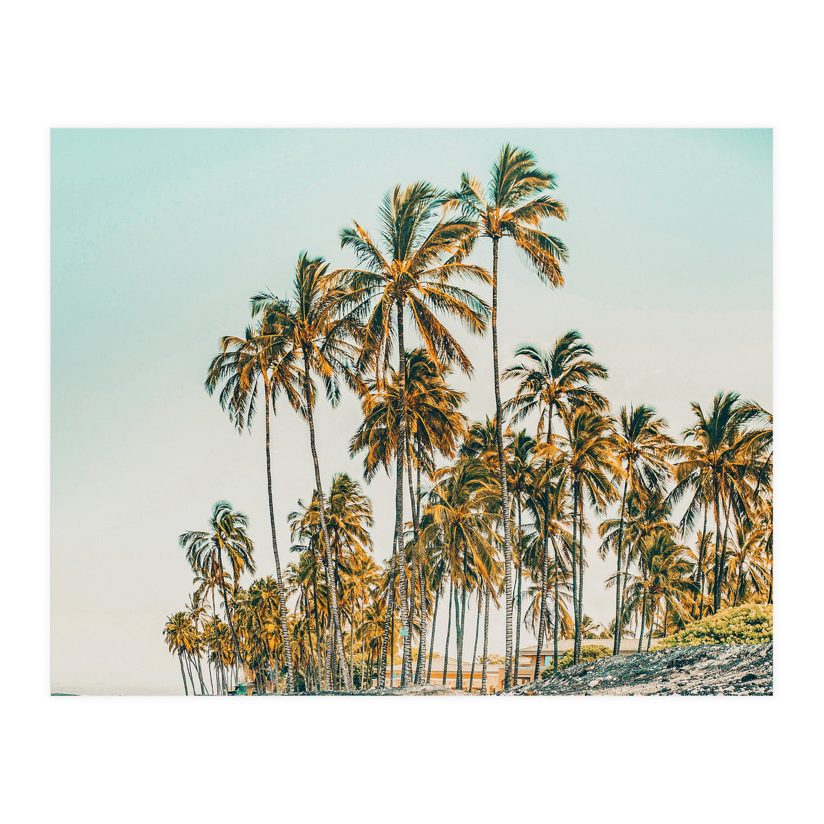 Island Life III (Print Only)