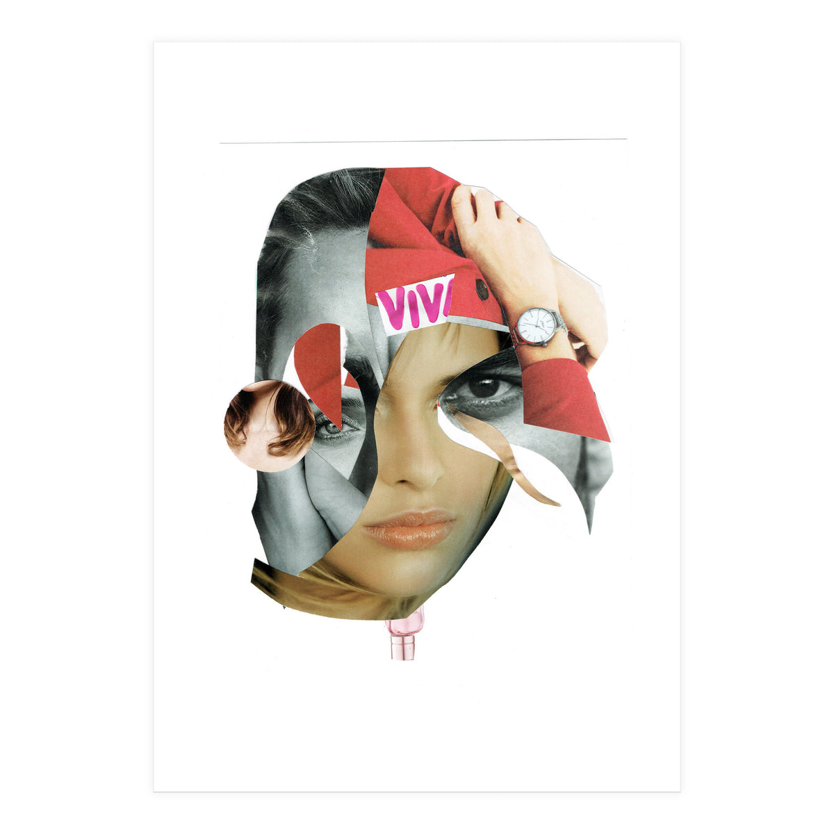 Another Portrait Disaster X (Print Only)