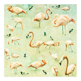 Flamingos (Print Only) thumbnail