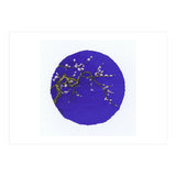 Circle 3 (Print Only) thumbnail