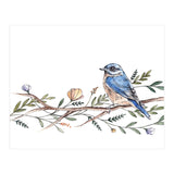 Bird on Branch (Print Only) thumbnail