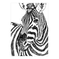 Zebra (Print Only)