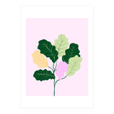 Figleaf (Print Only) thumbnail