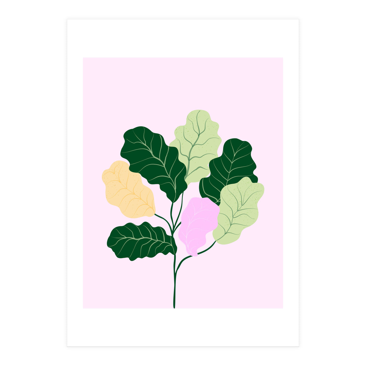Figleaf (Print Only)