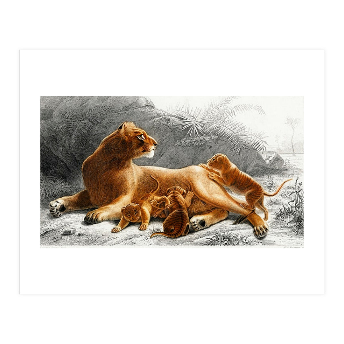 Fails Leo illustrated (Print Only)