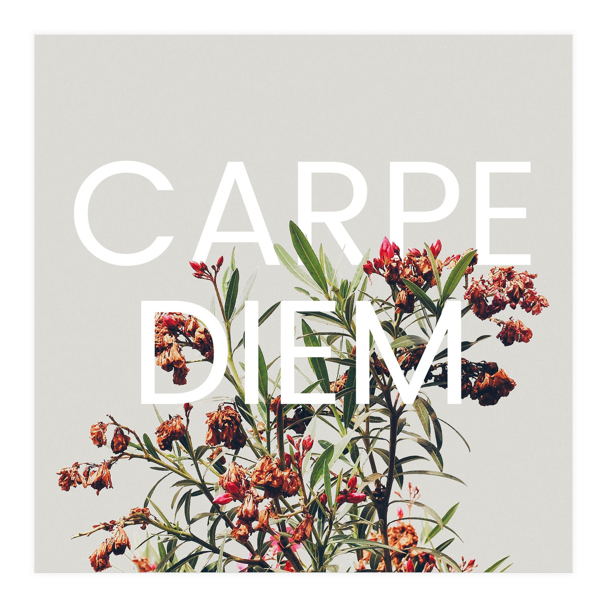 Carpe Diem (Print Only)
