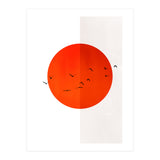 Seagulls Of The Sun (Print Only) thumbnail