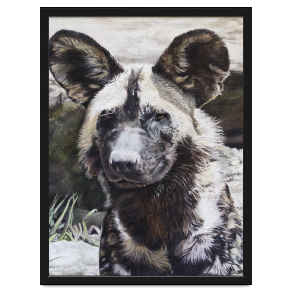 African Painted Dog II